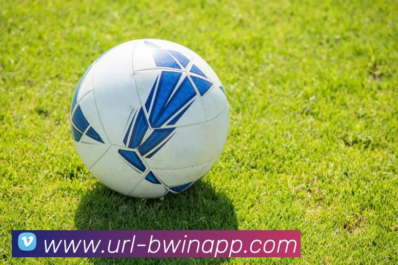 必威体育服务体系